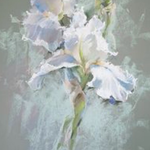 artvas80